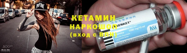 индика Няндома
