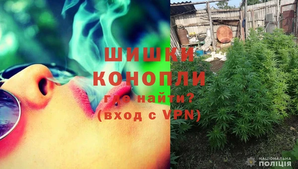 дмт Осинники