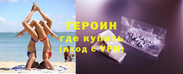 индика Няндома