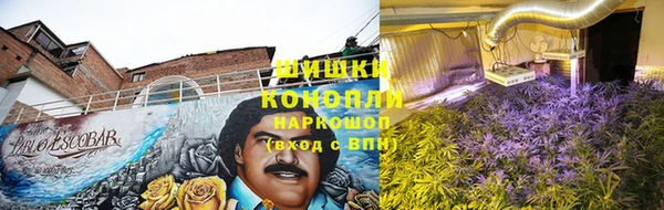 дмт Осинники