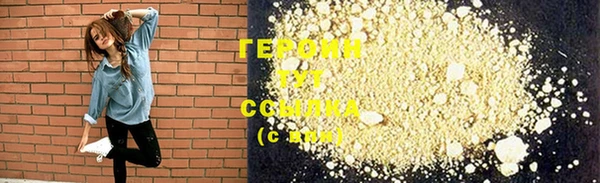 индика Няндома