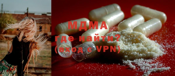индика Няндома