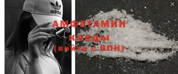 индика Няндома