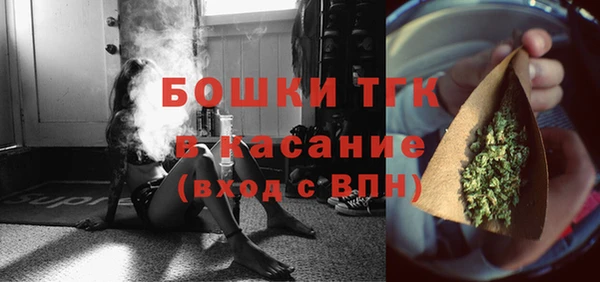 дмт Осинники